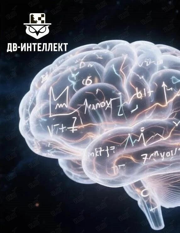 Интеллектуальные игры на выходные в «Семь сопок» 🎲
Две игры от центра интеллектуальной культуры ДВ Интеллект