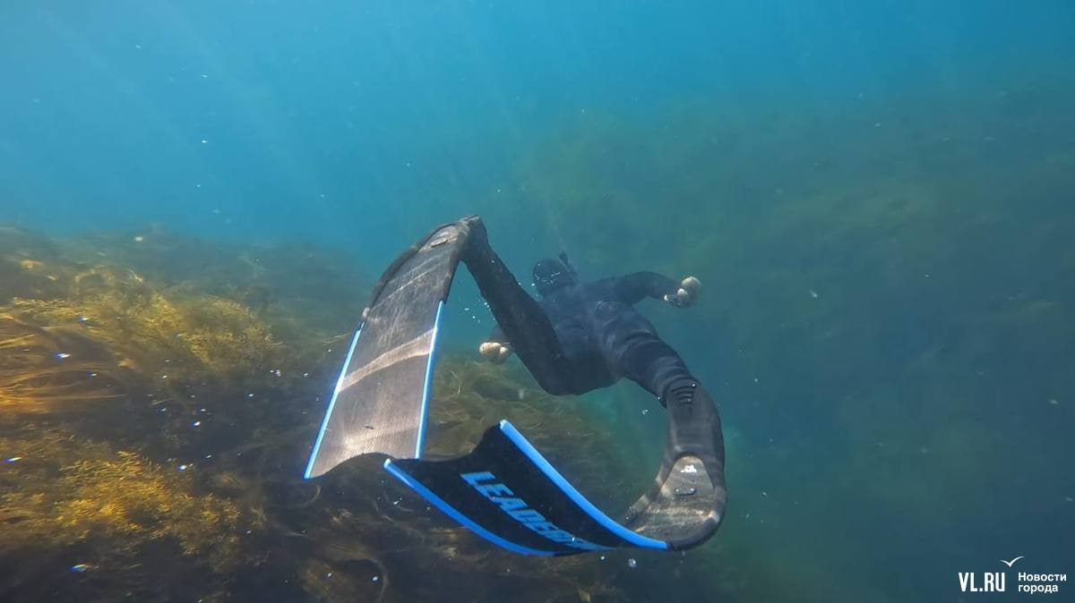Водные развлечения во Владивостоке