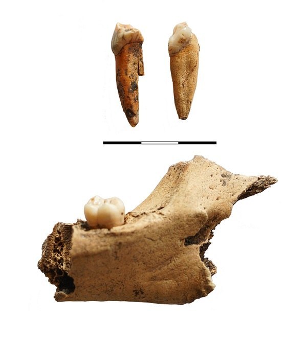 Первым приморцам почти 12 000 лет, а не 6500 лет 💀
Учёные Института истории,…
