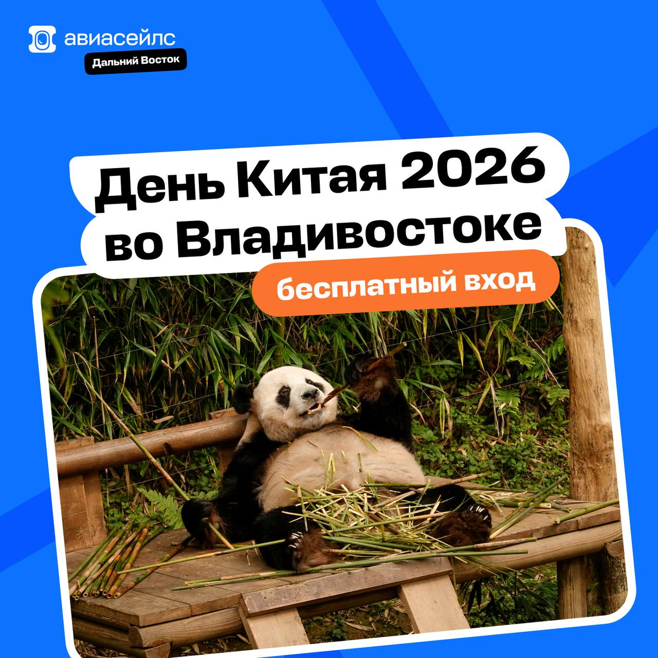Лайфхак: как съездить в Китай, не выезжая из Владивостока 🤔

В эту субботу Ц…
