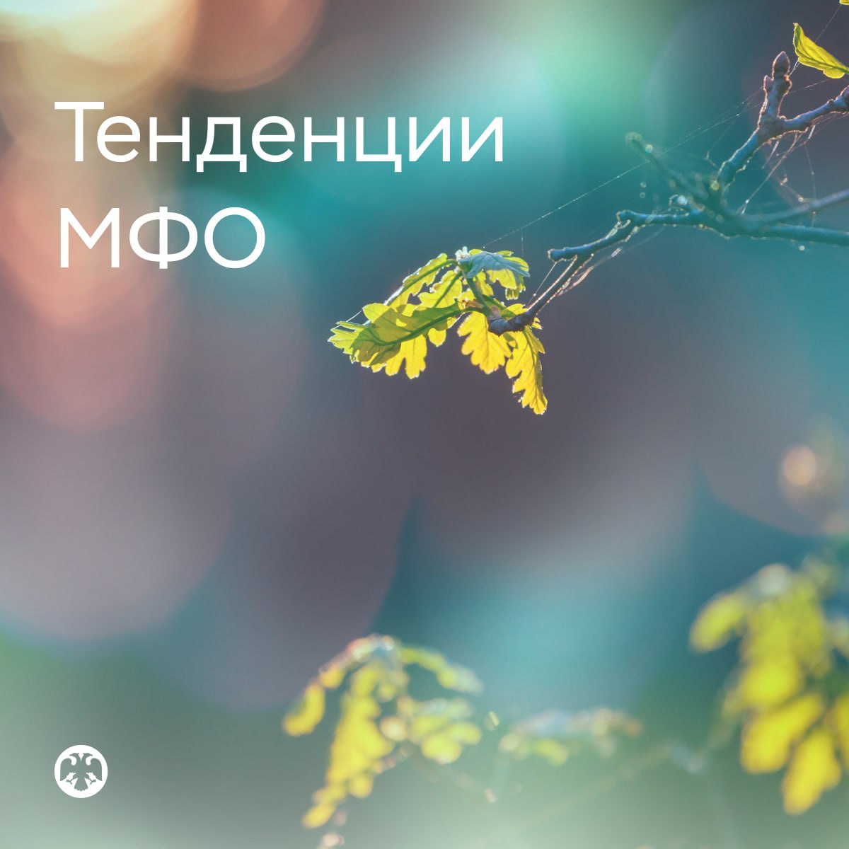 #ТенденцииМФО
🏦 На рынке микрозаймов продолжилось охлаждение выдач

🟢 В янв…