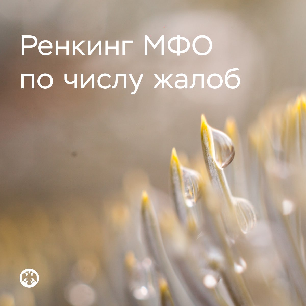 🪙 Банк России составил первый ренкинг МФО по числу жалоб

В него включены ми…