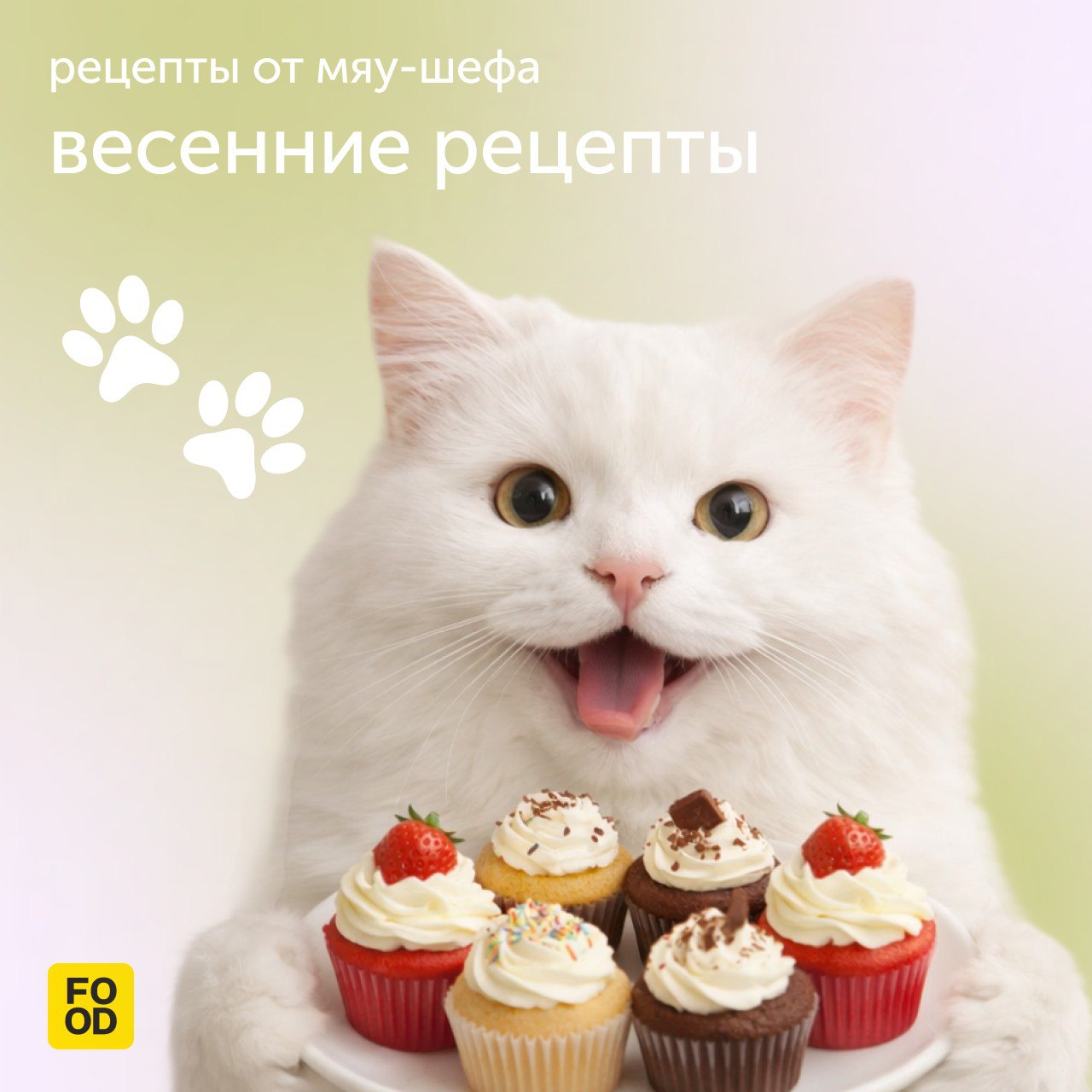 В преддверии нежного праздника весны 🌷

Мяу-шеф спешит порадовать прекрасных дам своими вкусными находками