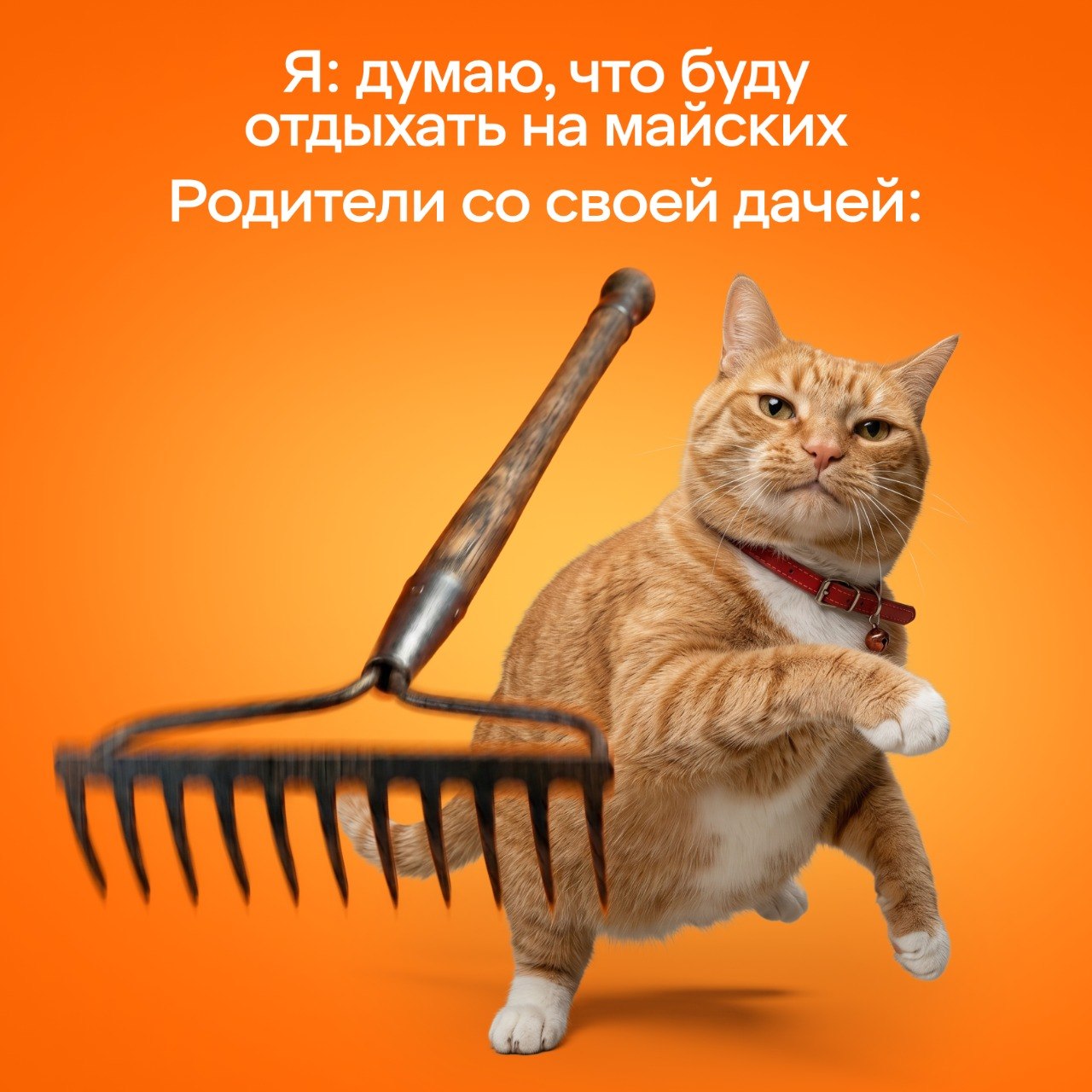 Привет! На связи команда Апельсин

Призываем делиться своими майскими фоточка…
