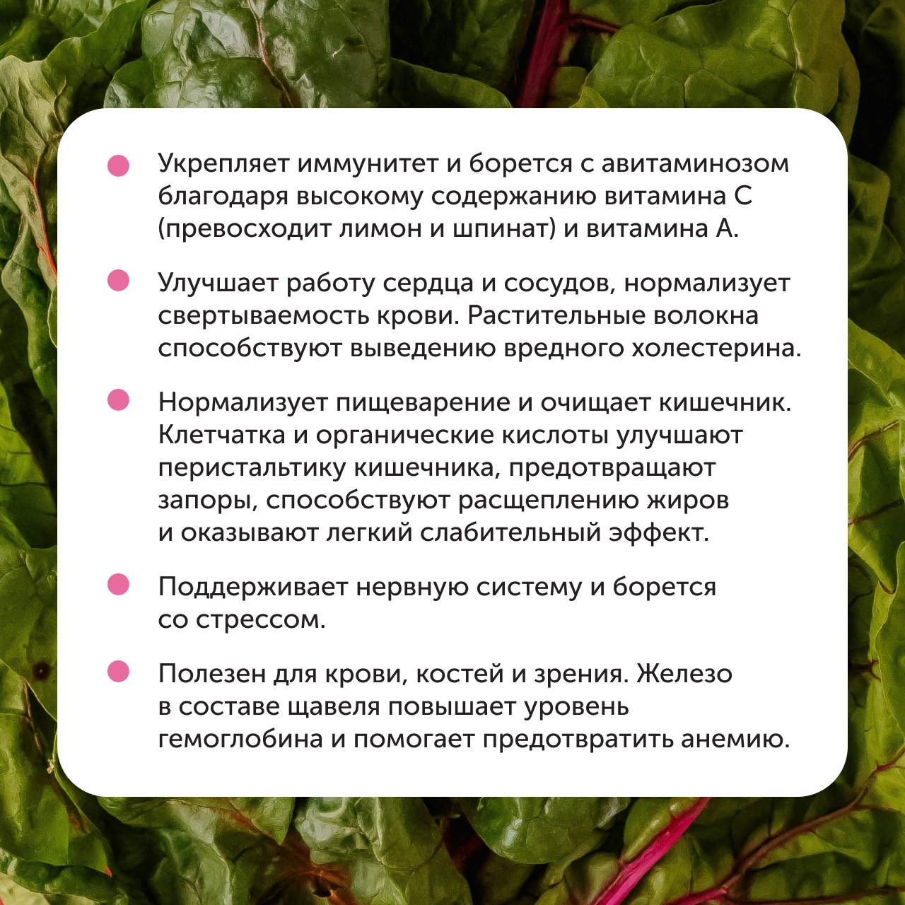 Щавель — не просто приятная кислинка в супе, а настоящий витаминный заряд🌿

И его точно стоит добавить в рацион