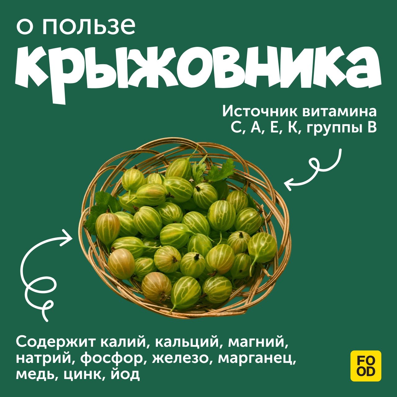 Крыжовник — не просто ягода, а настоящий природный аптекарь 💚

Маленький, зеленый, кисловатый — но какой мощный