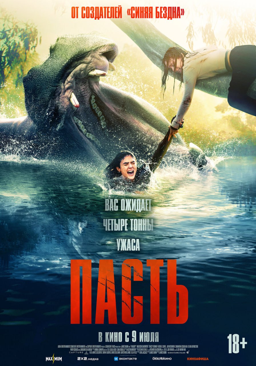 🎥Новости кино
Премьеры недели:
🎬Кодекс Данте
Контрабандисты охотятся за оригинальной рукописью «Божественной комедии»