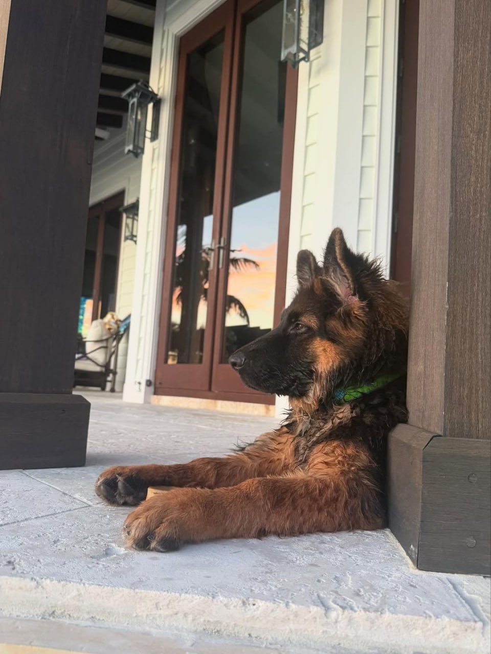 Сидни Суини классно проводит время со своим псом Салли 🐶

Вместе они съездил…