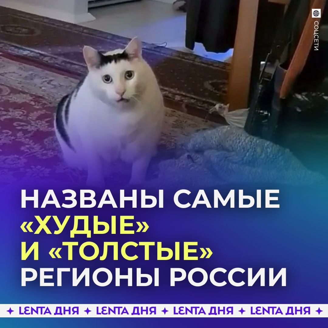 👥 Самые толстые россияне живут в Сибири и на Урале