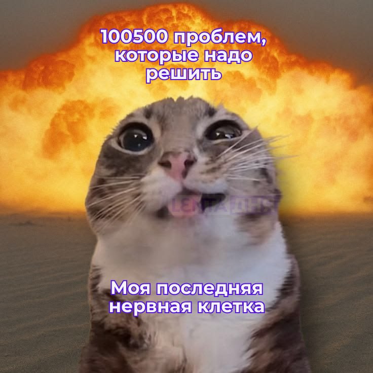😰 У большинства россиян есть склонность к проблемам с нервами