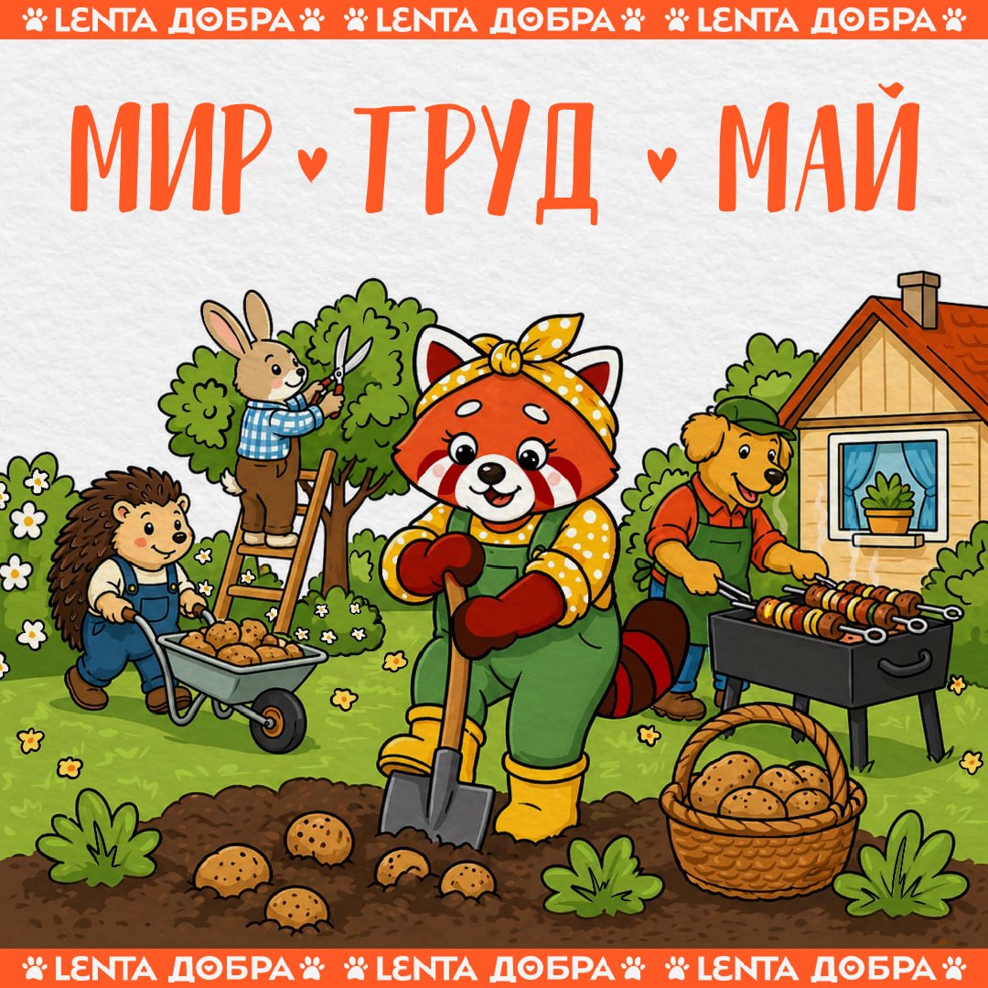 🎉 Поздравляем с Праздником Весны и Труда!

Желаем, чтобы весна радовала, труд не утомлял, а отдых сегодня победил все остальные планы