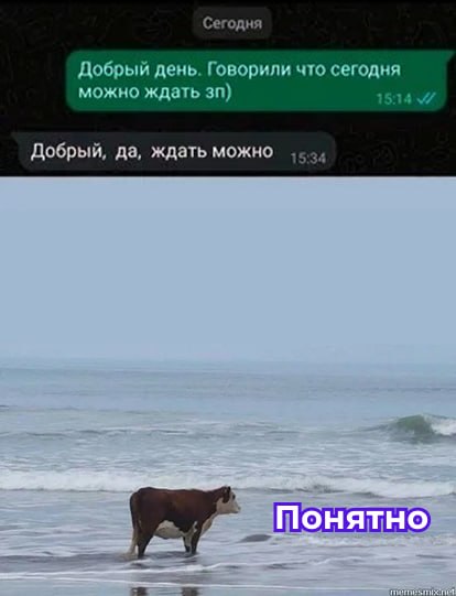 💰 Разрыв в зарплатах мужчин и женщин в России достиг максимума за 13 лет
