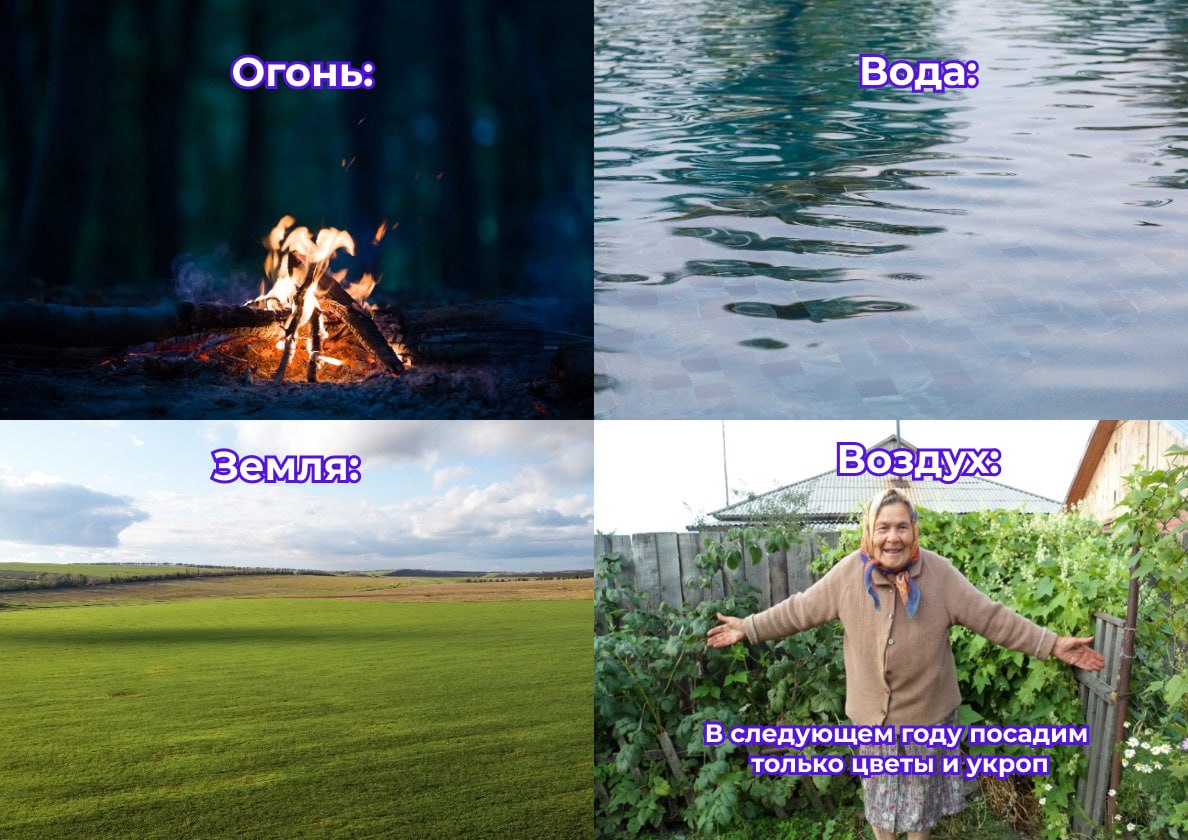 🌱 Сегодня отмечается День дачника