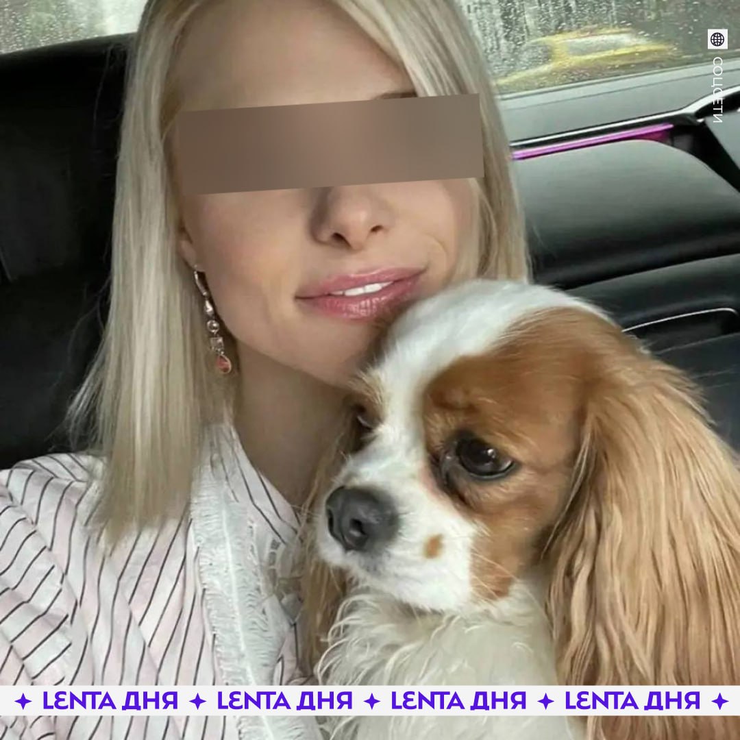 😰 Собака привела волонтёров к телу хозяйки, убитой в Подмосковье