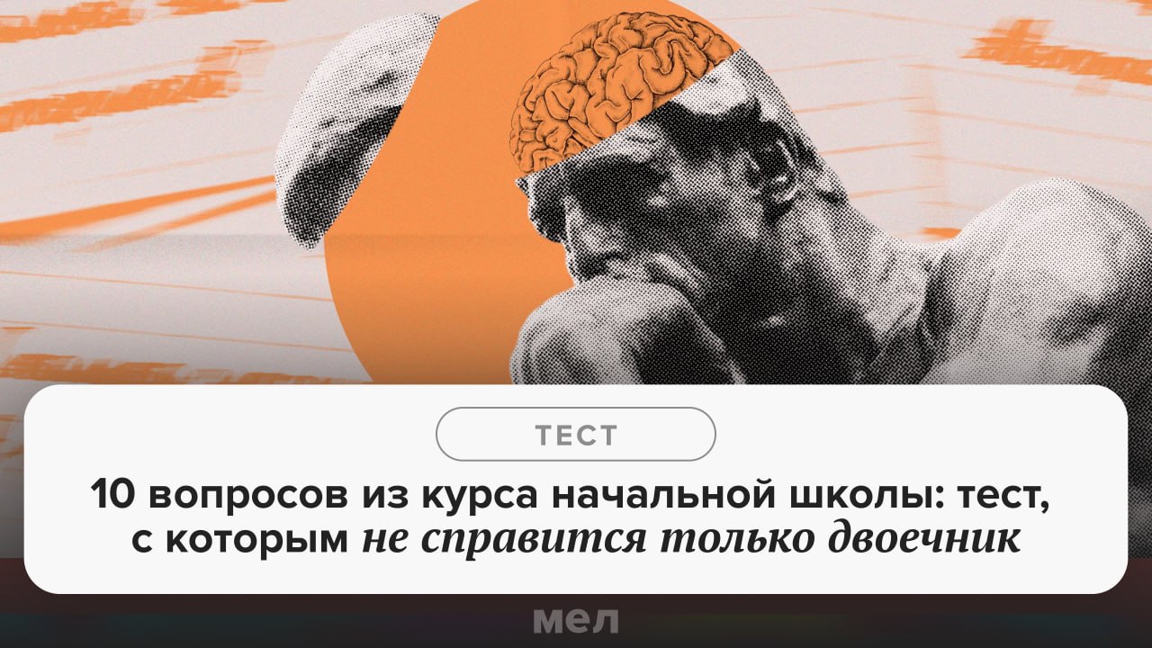 Пора выяснить, перевели бы вас сегодня в пятый класс или оставили на второй г…