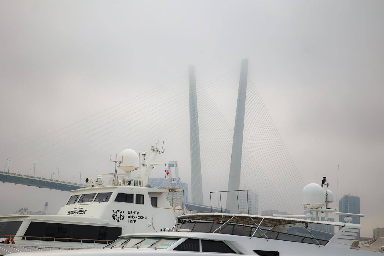 🌫Весна во Владивостоке — это время, когда реальность теряет резкость

🚢Море …