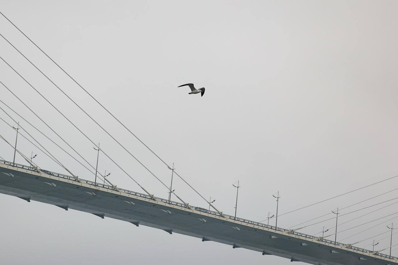 🌫Весна во Владивостоке — это время, когда реальность теряет резкость

🚢Море …