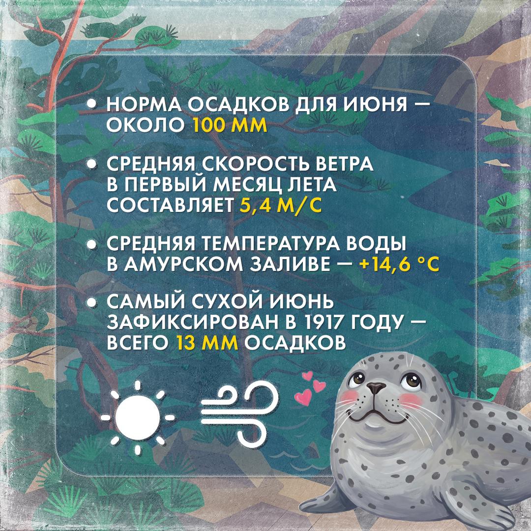 ИЮНЬ ВО ВЛАДИВОСТОКЕ: ТО ЖАРКО, ТО НЕ ОЧЕНЬ 😅

Знаете этот момент, когда вроде бы лето, а вроде и нет? Июньская погода — штука хитрая