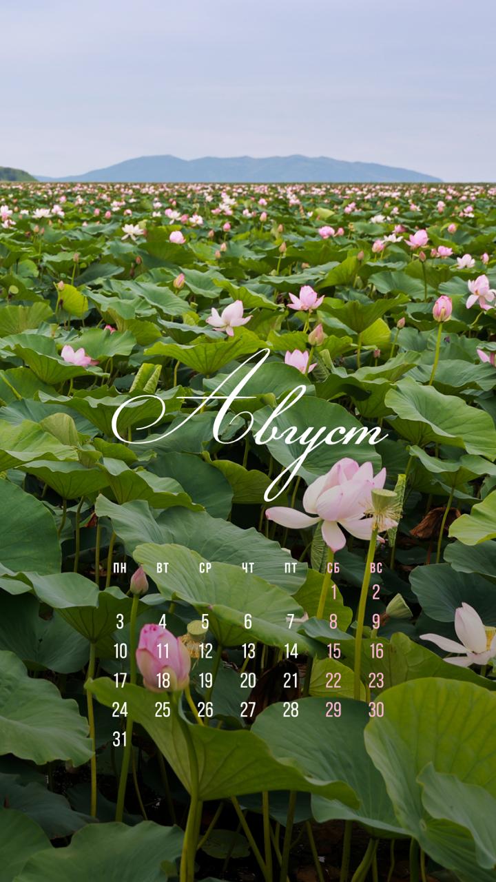 🗓 Августовские обои уже здесь!

🪷Мы решили сделать подборку с приморскими ло…