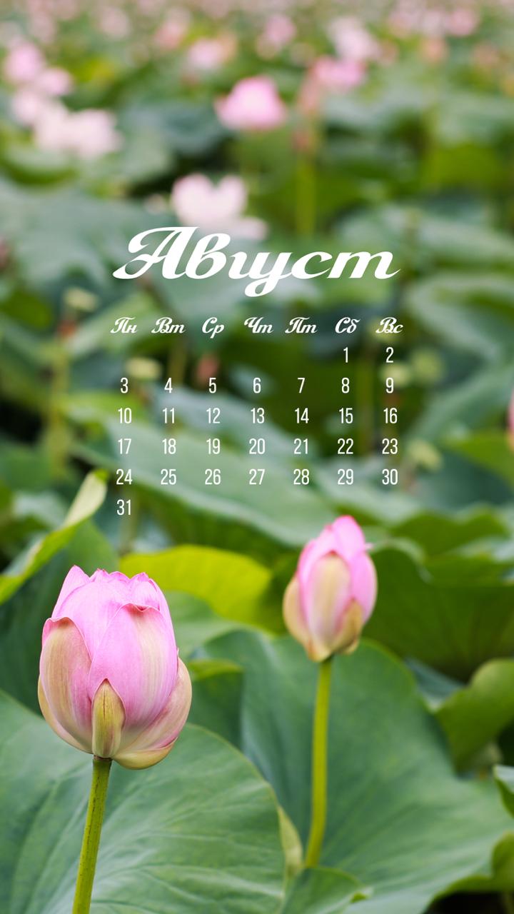 🗓 Августовские обои уже здесь!

🪷Мы решили сделать подборку с приморскими ло…
