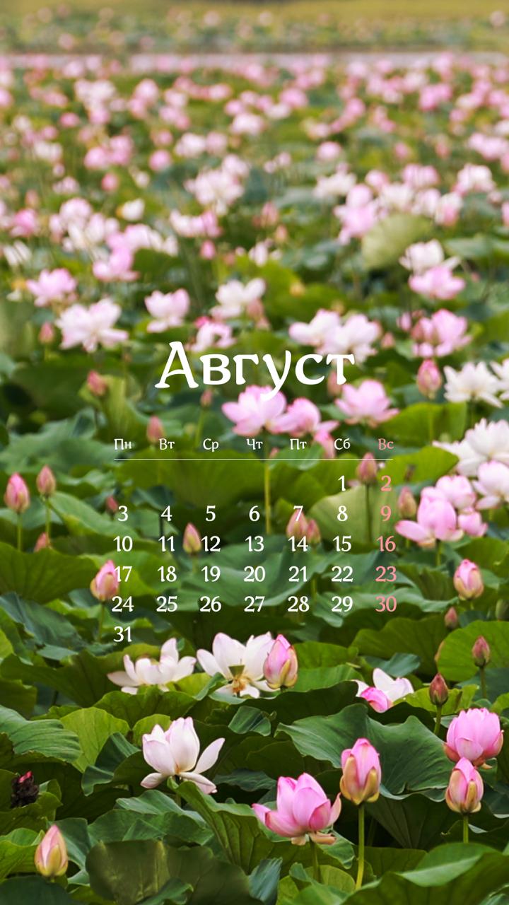 🗓 Августовские обои уже здесь!

🪷Мы решили сделать подборку с приморскими ло…