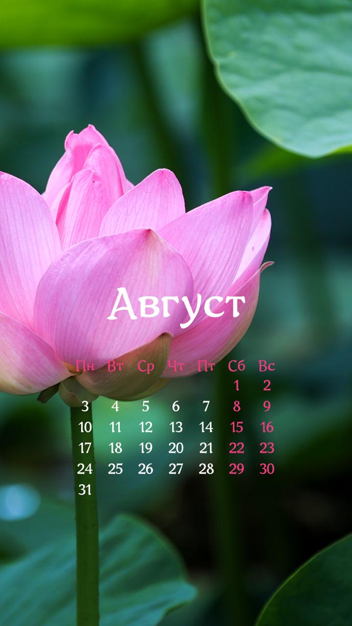 🗓 Августовские обои уже здесь!

🪷Мы решили сделать подборку с приморскими ло…
