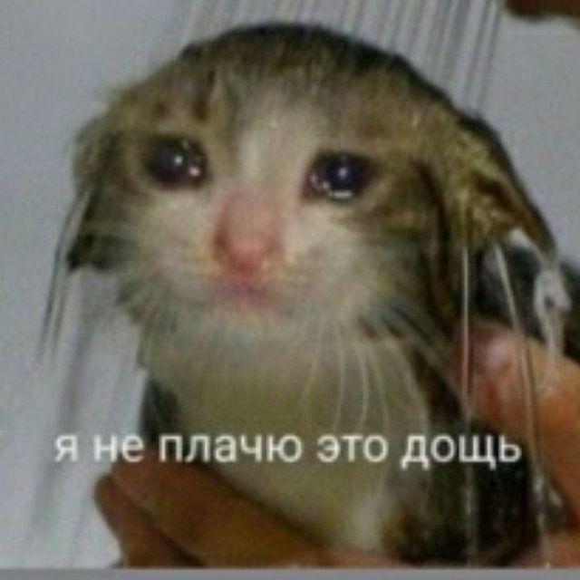 🌧 Штормовое предупреждение!

🔹с 14 по 16 августа на край обрушатся сильные д…