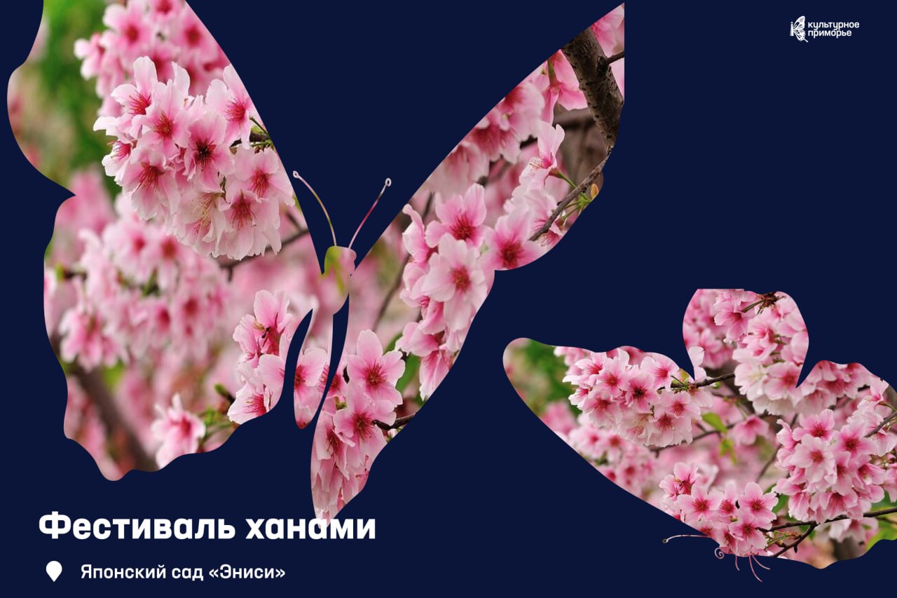 Встречаем сакуру в саду «Эниси» 🌸

В начале мая здесь зацветает японская декоративная вишня