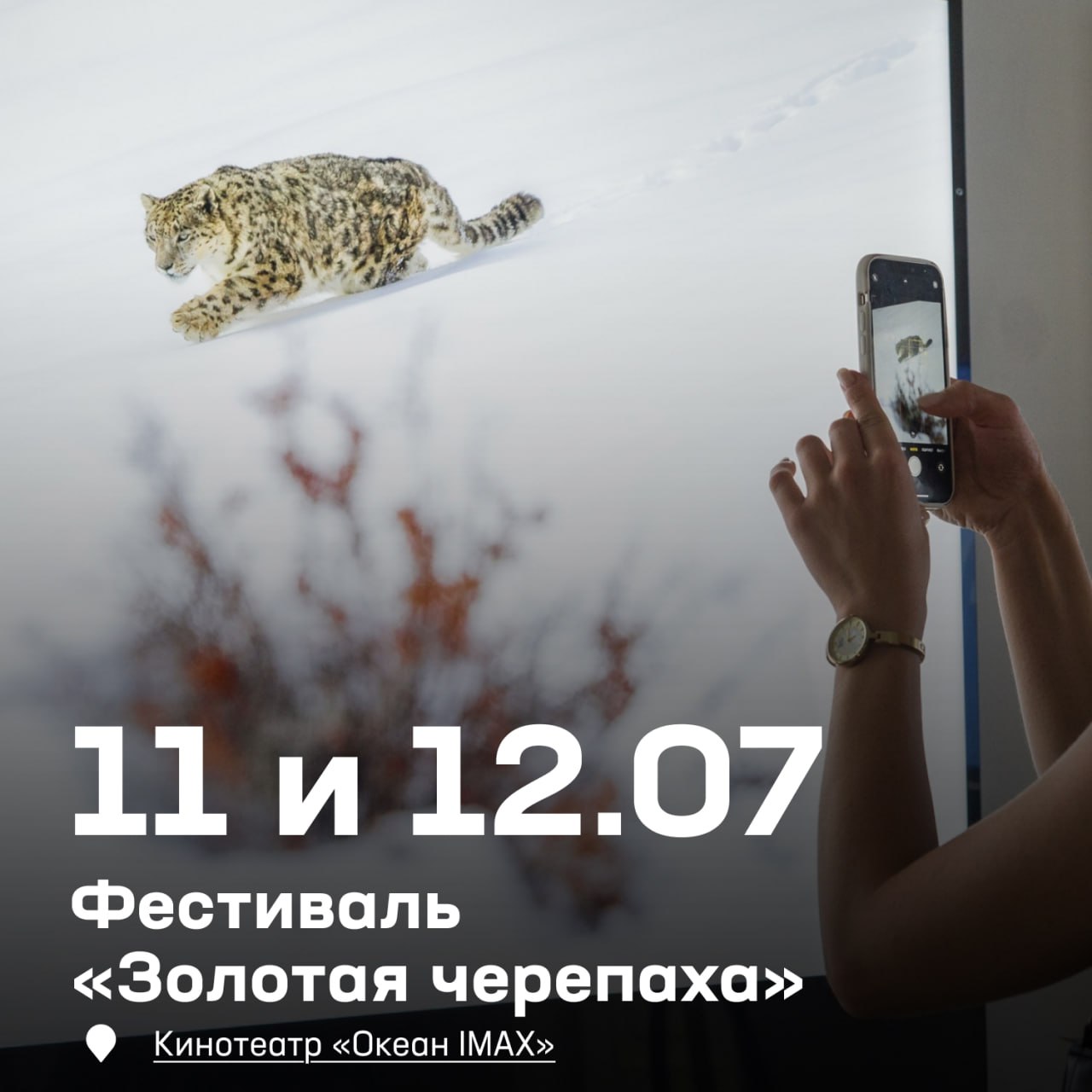 Каждые летние выходные просто обязаны быть яркими и запоминающимися