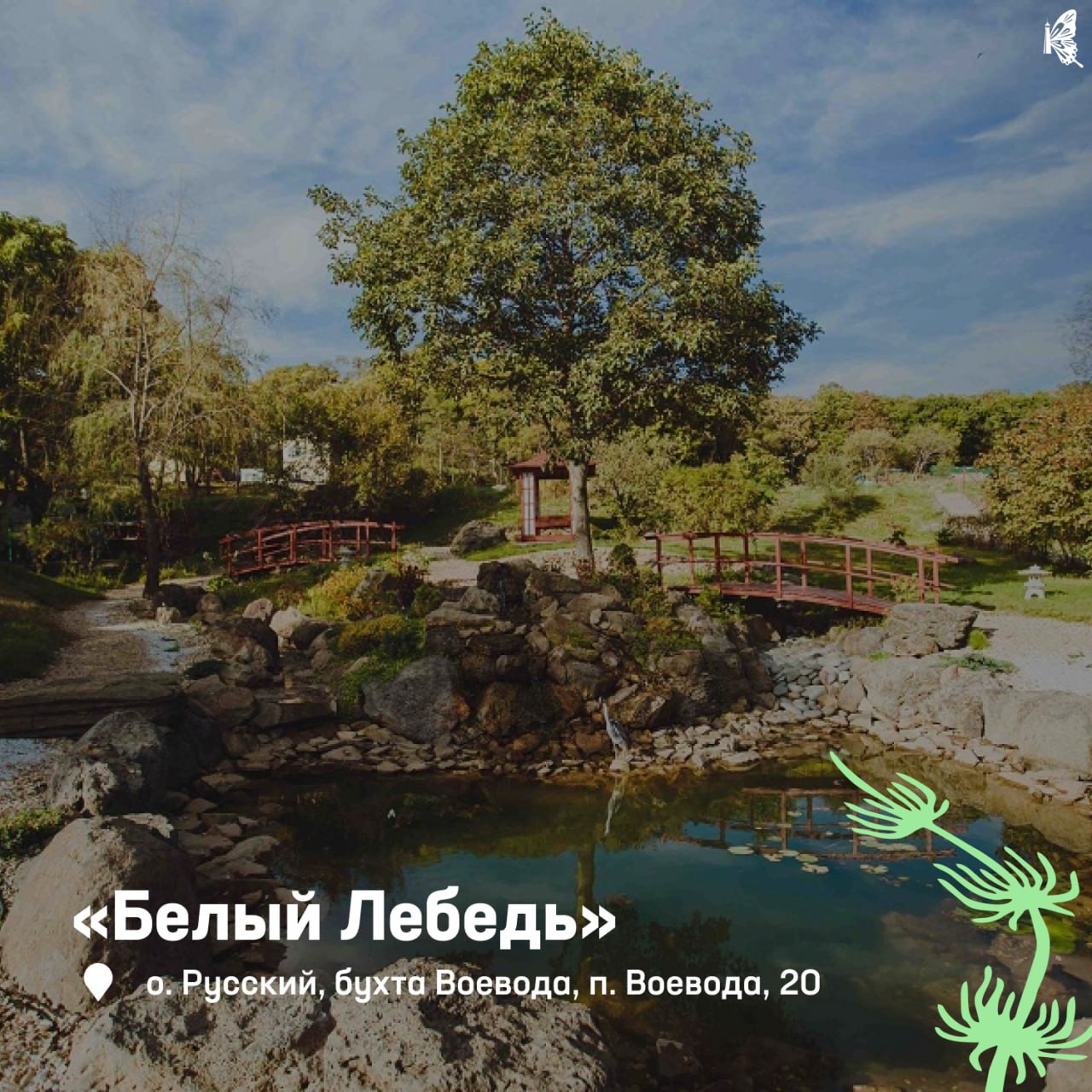 🏞 Отдых в санатории — это не просто возможность отвлечься от городской суеты, но и забота о здоровье