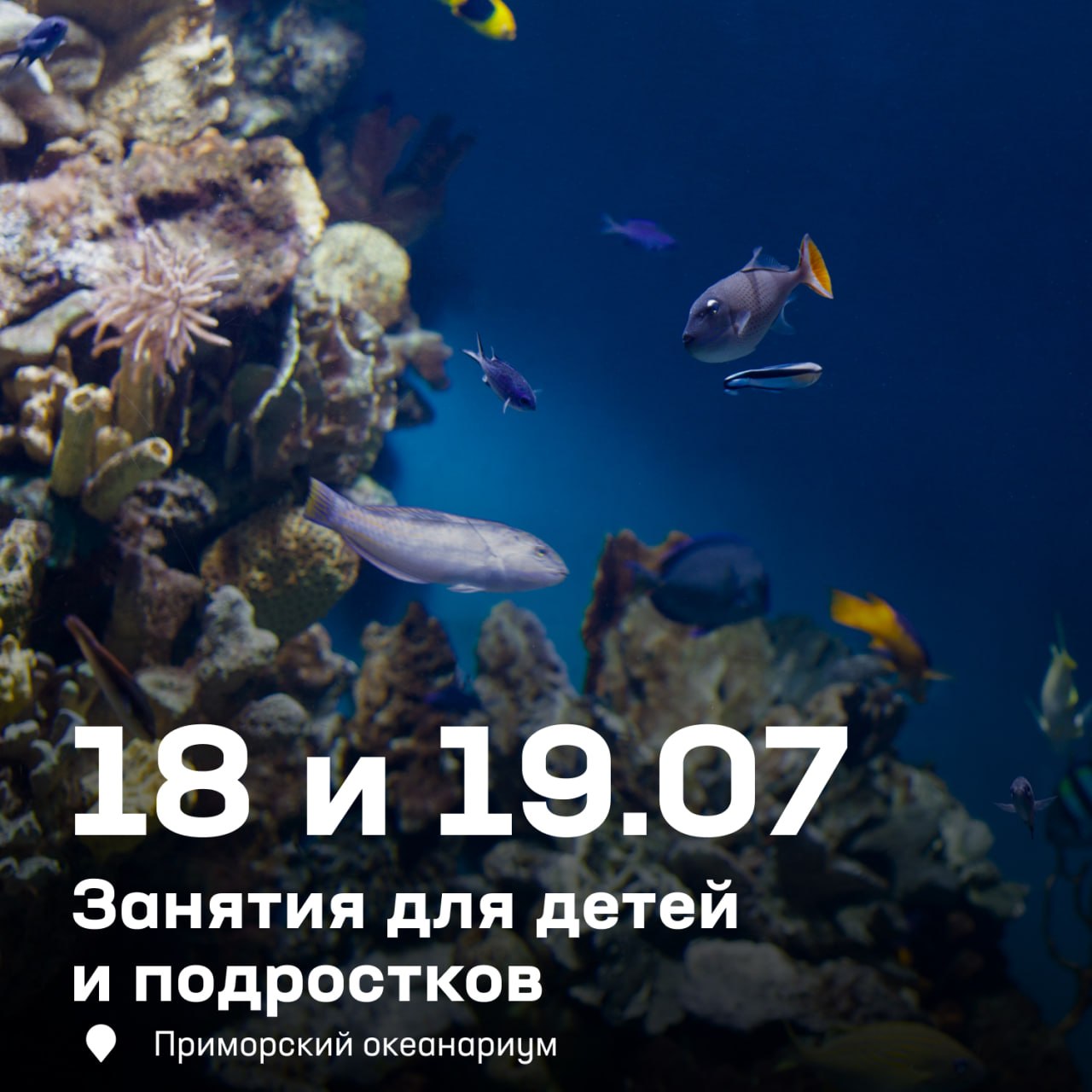 Предлагаем провести предстоящие выходные ярко и с душой ☀️

Нас ждёт насыщенн…