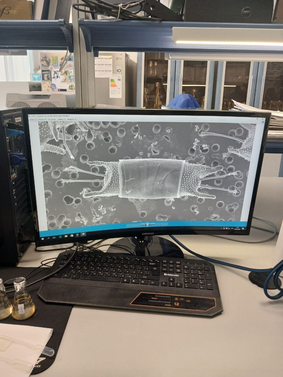 📸Продолжаем наш фотомарафон к 10-летию  Приморского океанариума