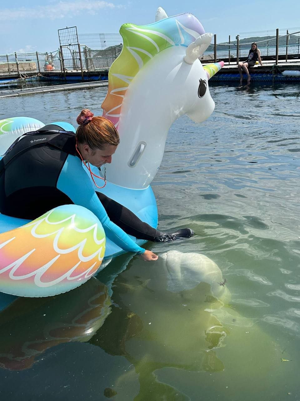 🦄Белухи играют с единорогами?

Да