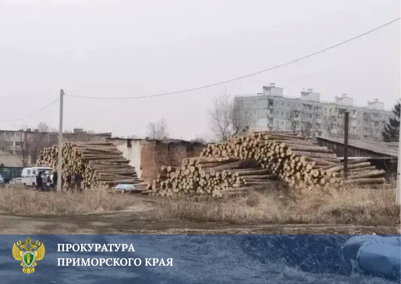 Прокуратура начала проверку после гибели 11-летнего ребенка на деревообрабаты…