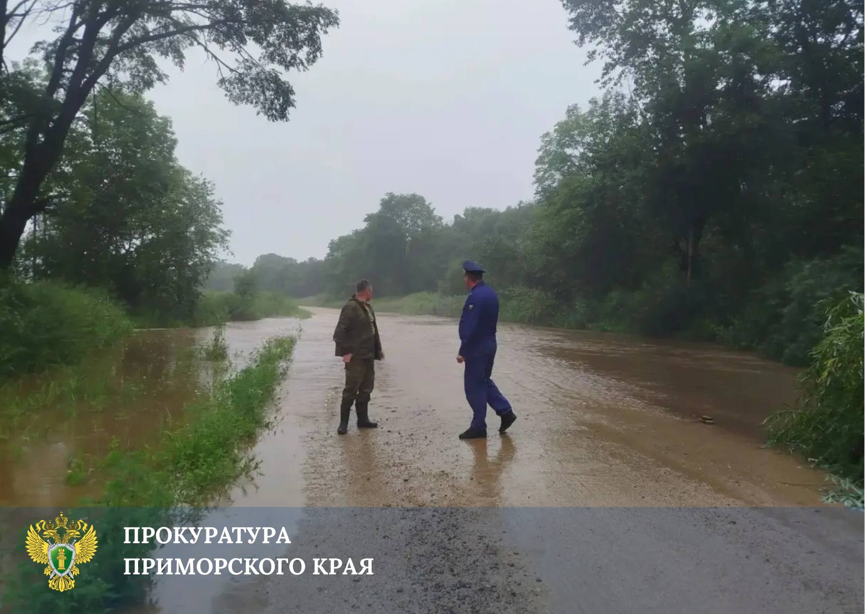 🔴🔴🔴Прокуратура Приморья обеспечивает надзорное сопровождение ликвидации по…