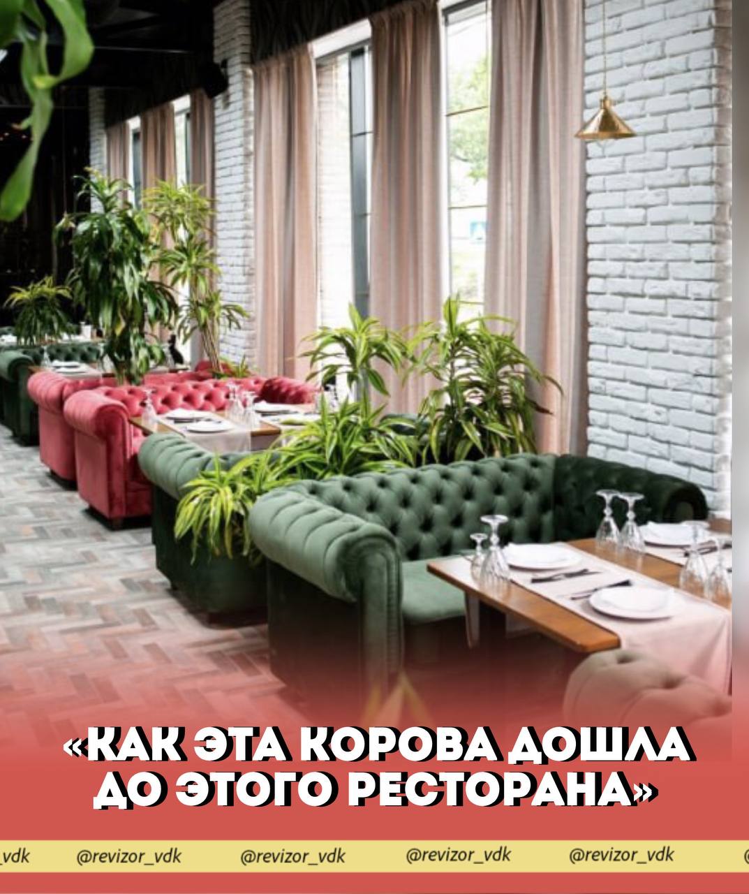 «Как эта корова дошла до этого ресторана»

👓 Небесный замок
📍 Ресторан, ули…
