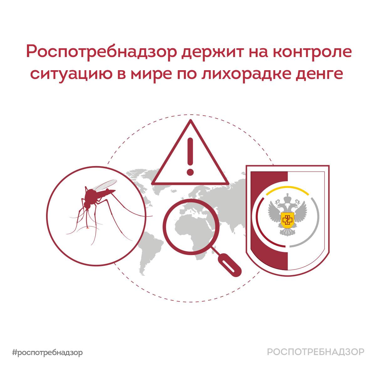 Роспотребнадзор держит на контроле ситуацию в мире по лихорадке денге
 
🔎 Ро…