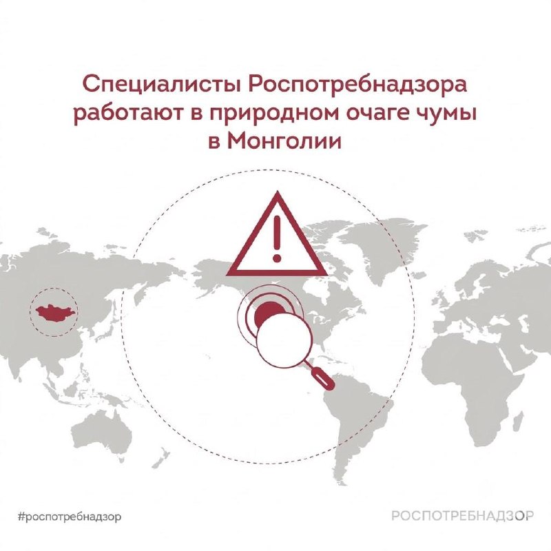 Специалисты Роспотребнадзора работают в природном очаге чумы в Монголии

‼️ С…