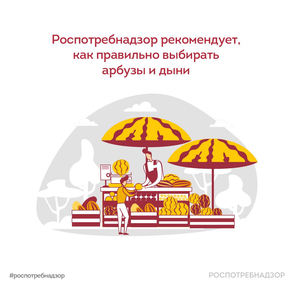 Сезон бахчевых культур начался