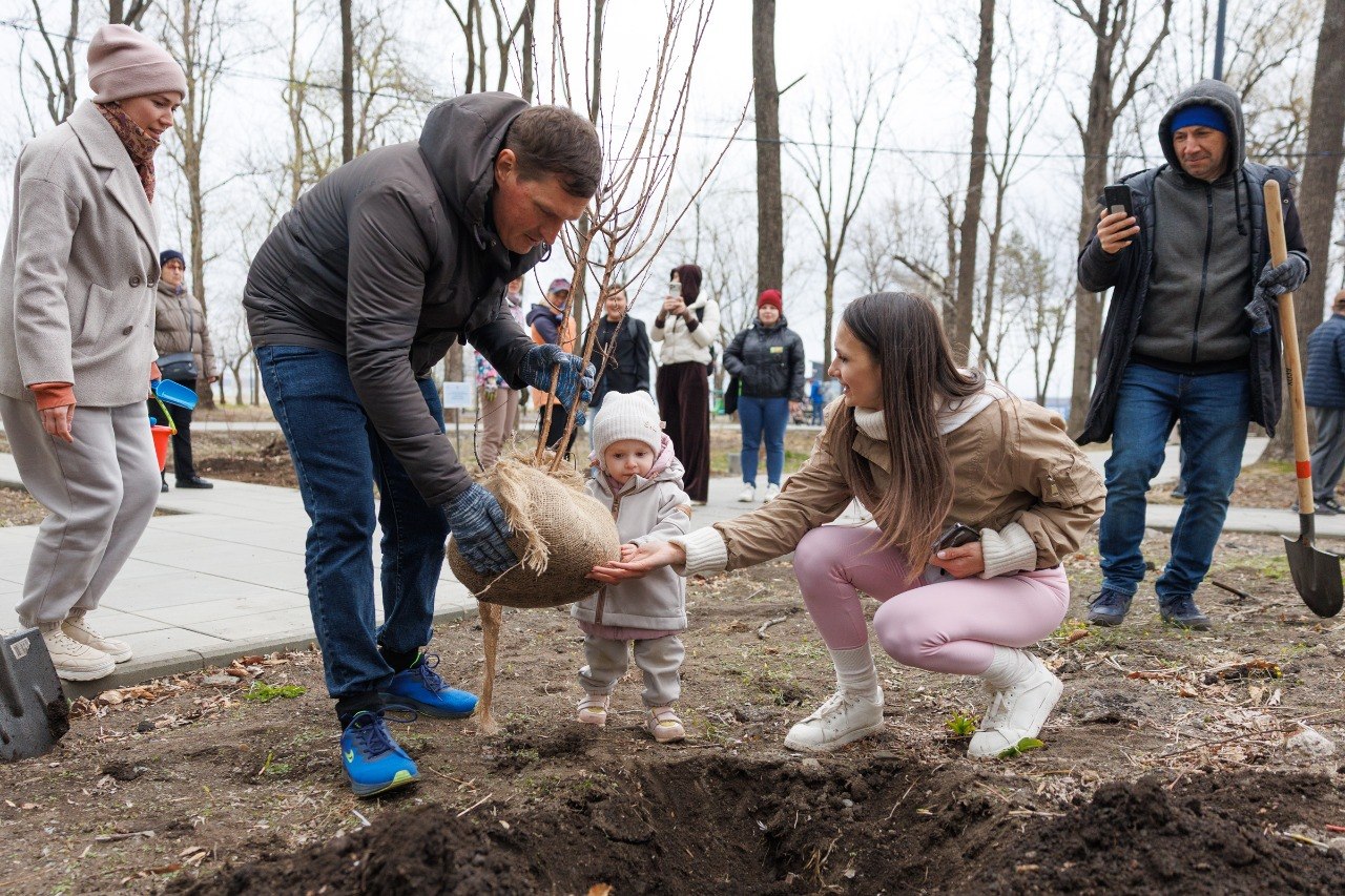 🌳 Вишни, абрикосы, яблони, сирень, магнолии, ивы и ели высадили в парке имени Сергея Лазо