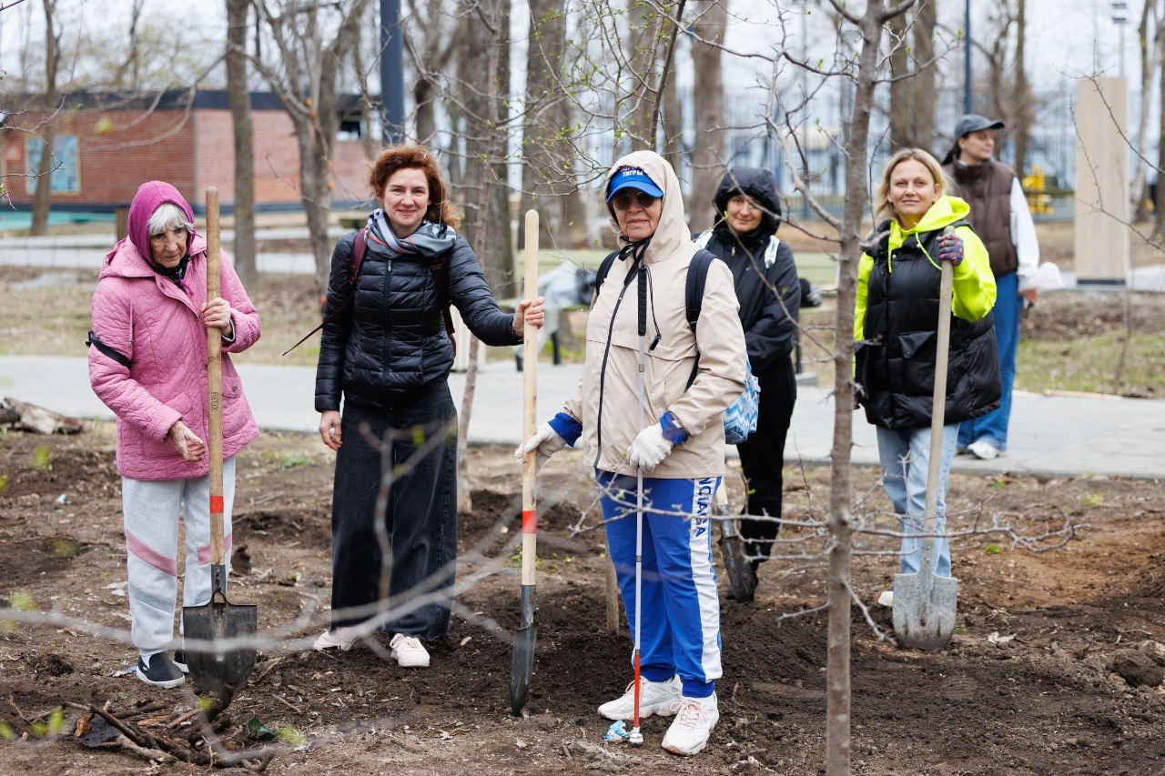 🌳 Вишни, абрикосы, яблони, сирень, магнолии, ивы и ели высадили в парке имени Сергея Лазо